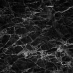 black, texture, background-2398956.jpg
